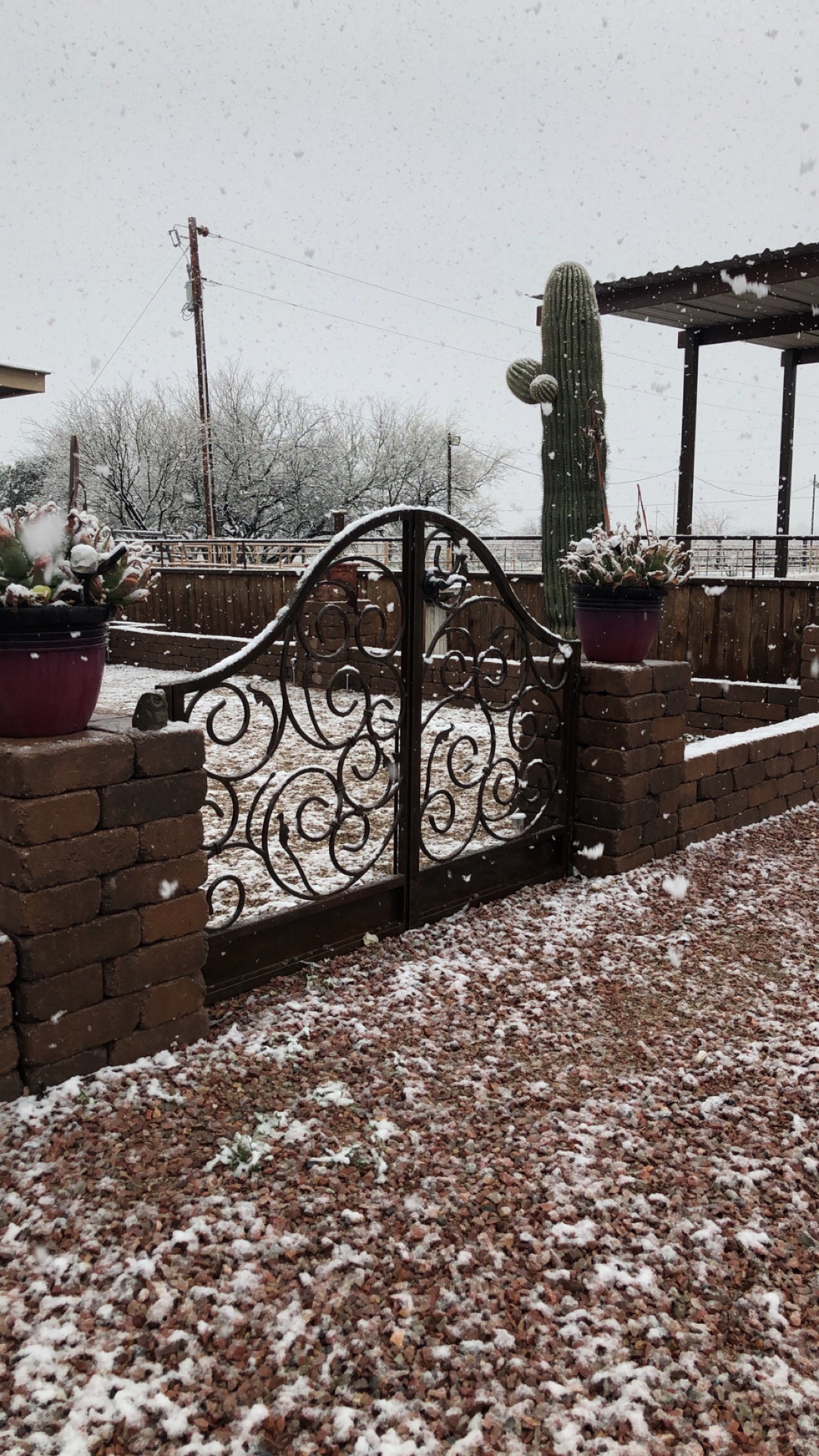 B333303C-BC80-4034-953F-3AEBFEC06204