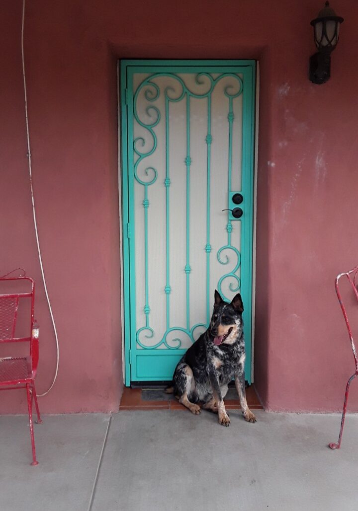 8460B9BA-C18C-44B6-9874-4AD2362A61C5